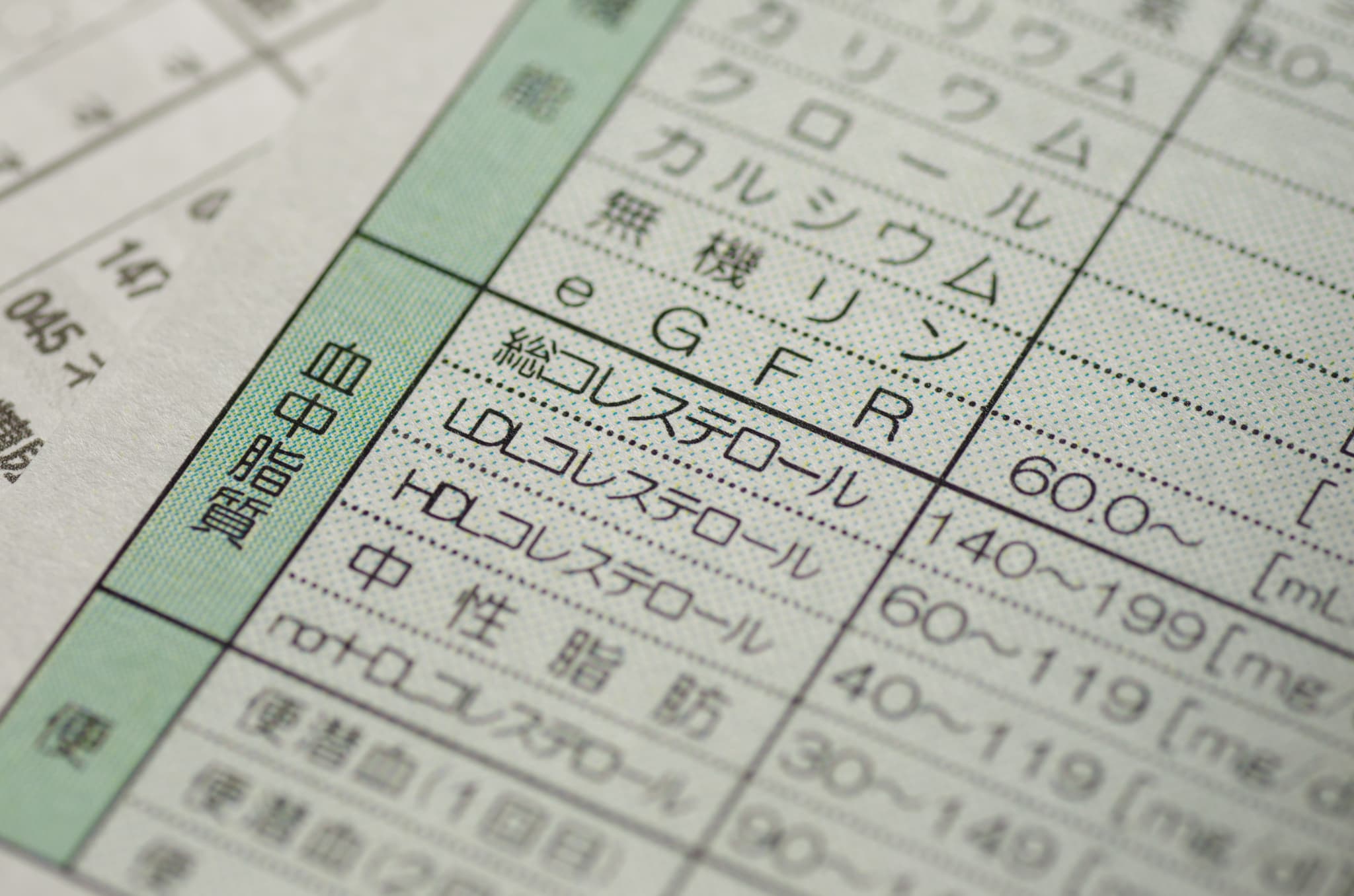 脂質異常症のイメージ